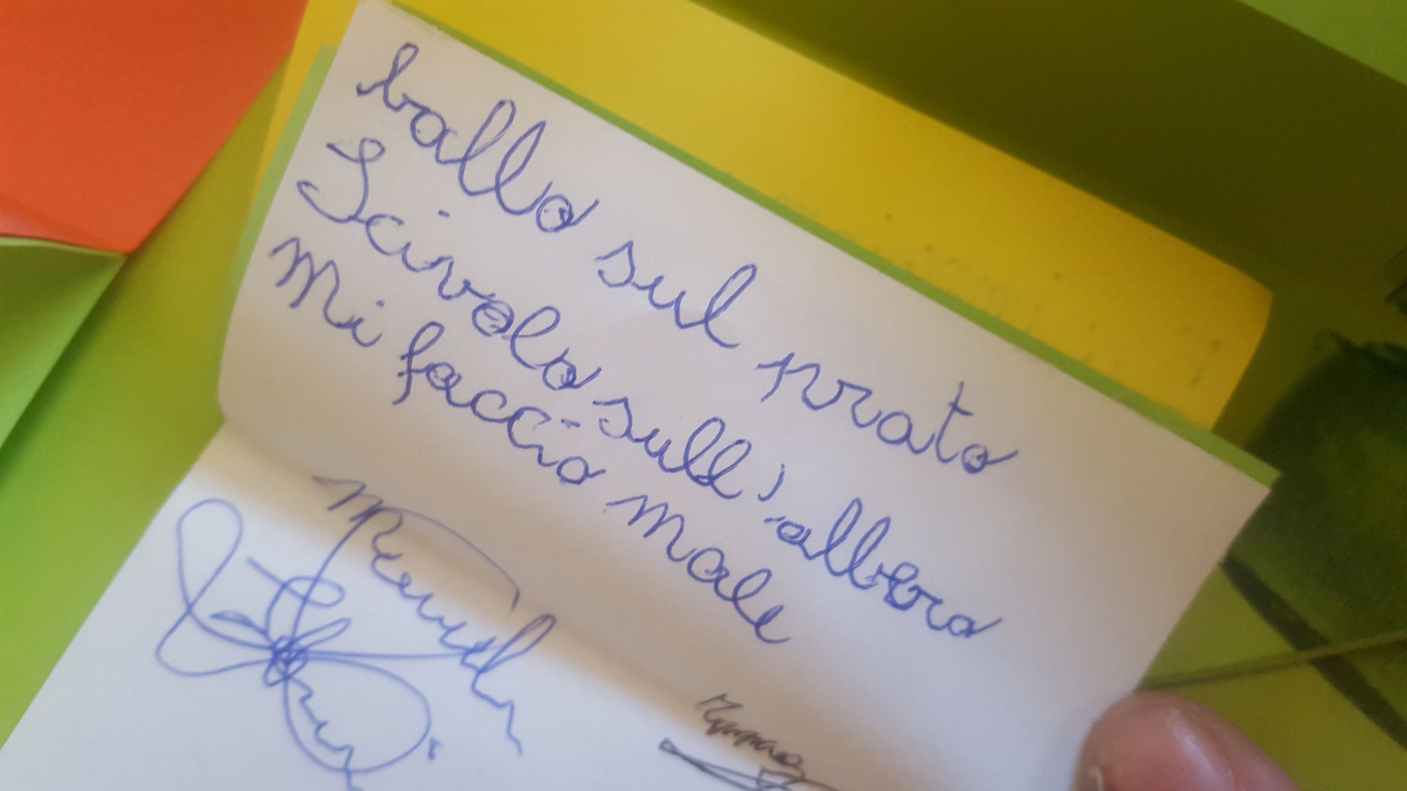 27846416_1729338413785245_1285919595_o