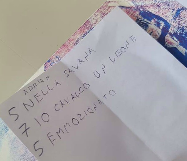 27848200_1721977694521317_808713849_n