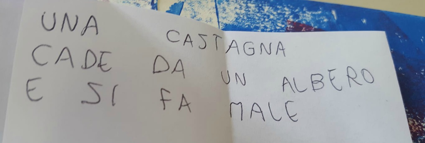 27946516_1721977561187997_274978282_o