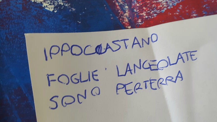 27946699_1721977721187981_1582349383_o