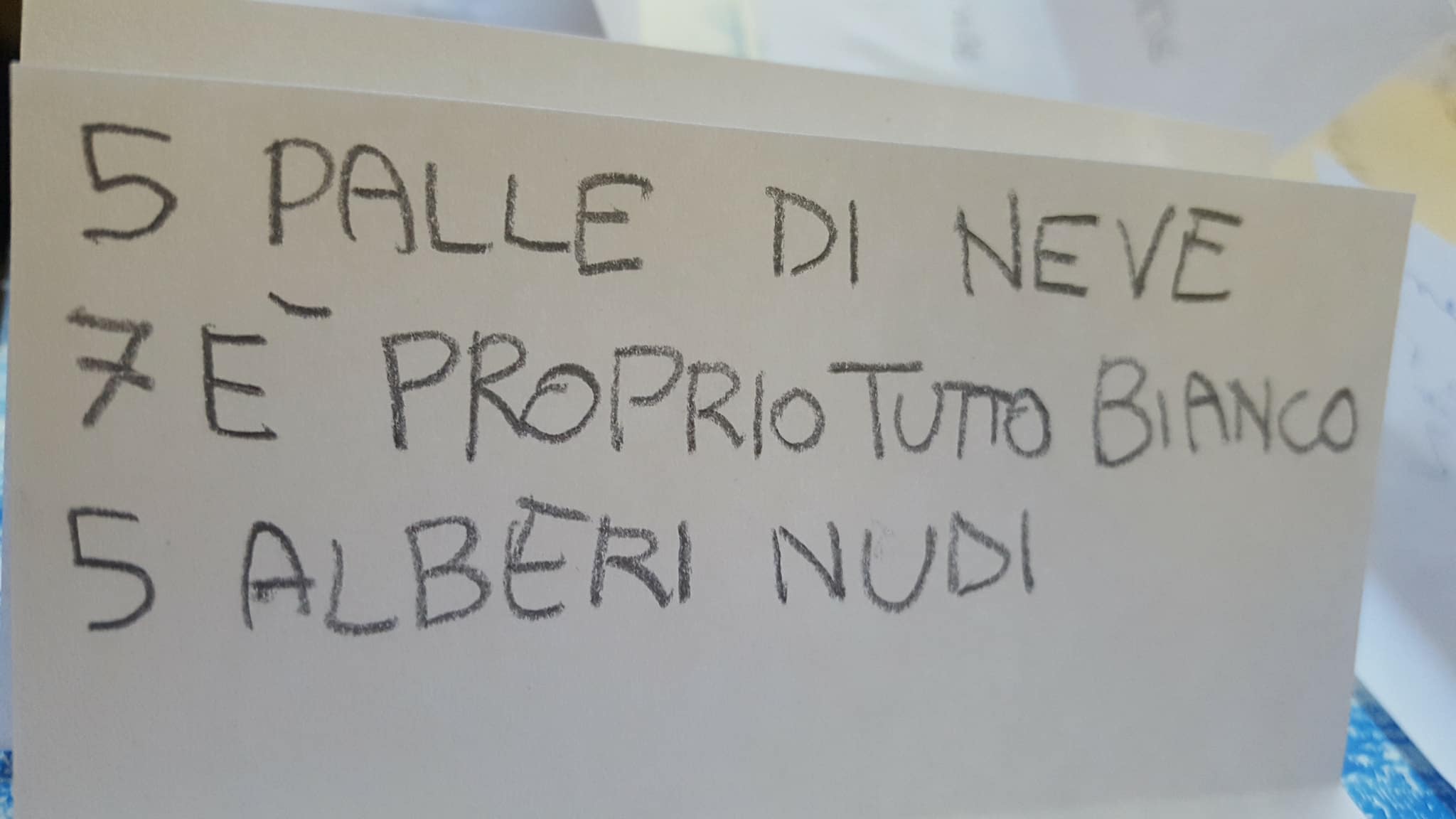 28033248_1727765663942520_1511300026_o