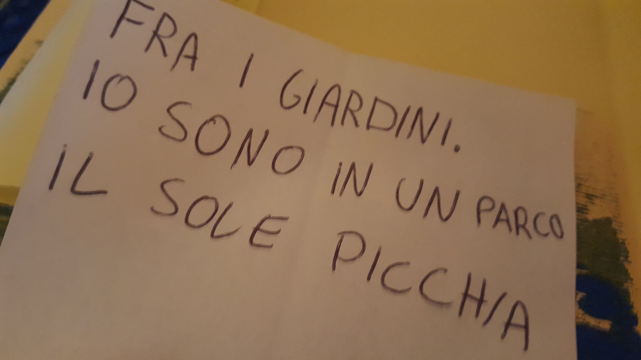 28079837_1729304853788601_318006515_o