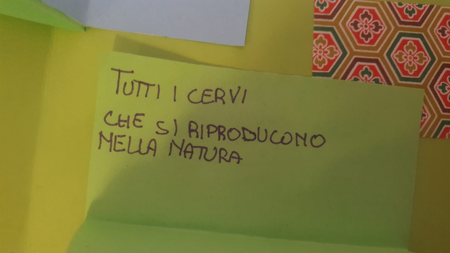 28080159_1729338093785277_1512812760_o