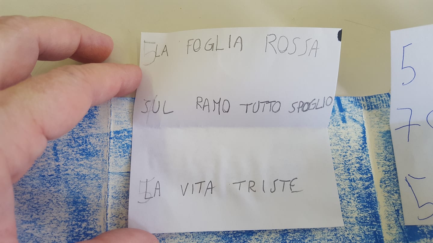 28080594_1726740390711714_75450175_o