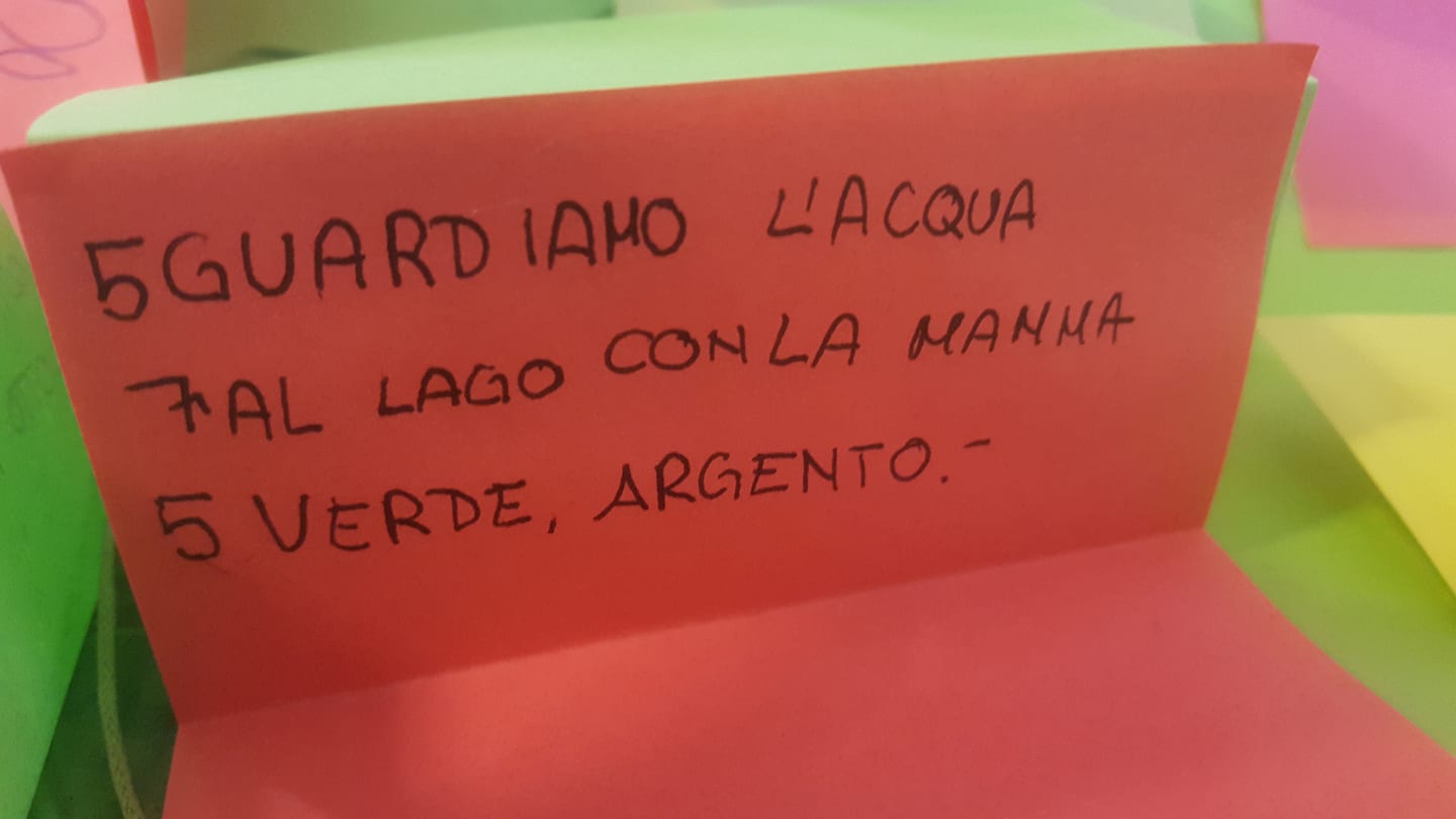 28080820_1729338303785256_1974442828_o