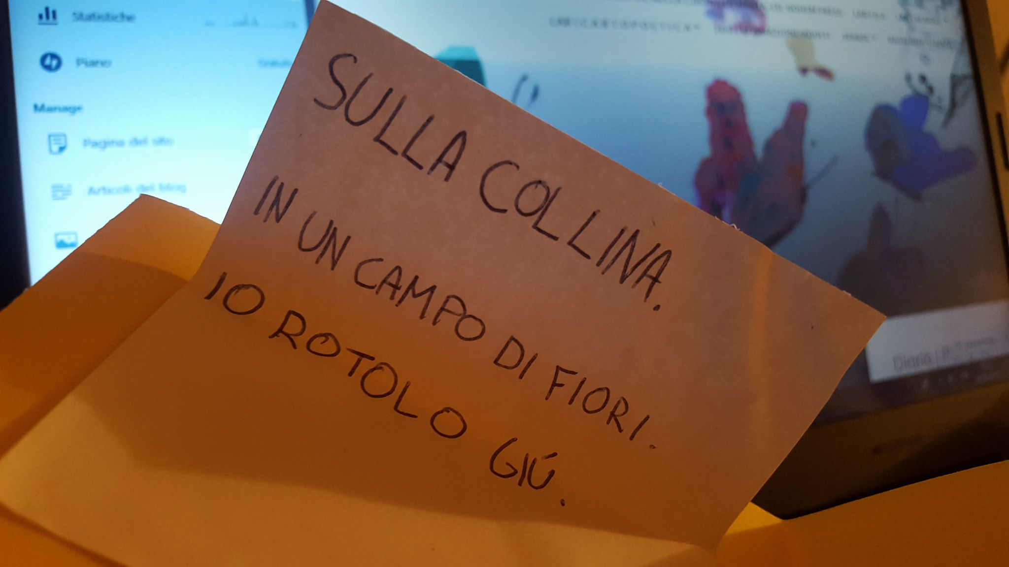 28080895_1729304990455254_553840955_o