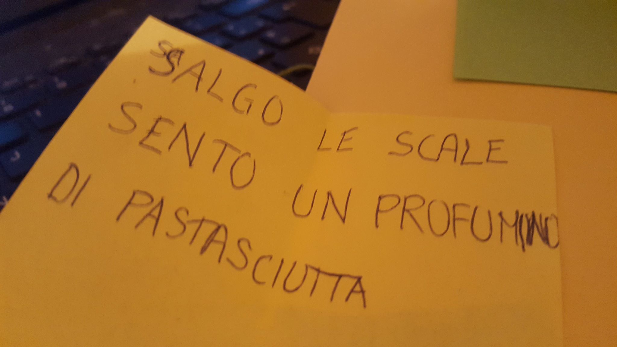 28081089_1729304687121951_1028481725_o