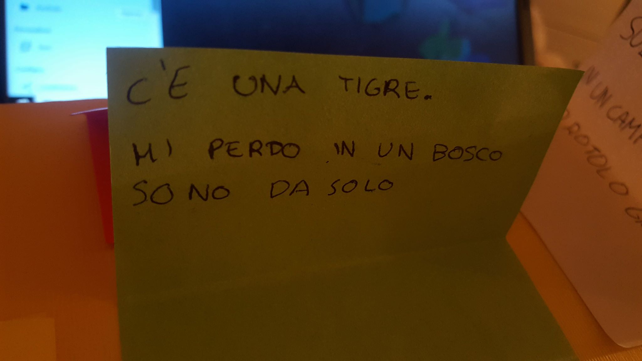 28124283_1729304907121929_1738107535_o