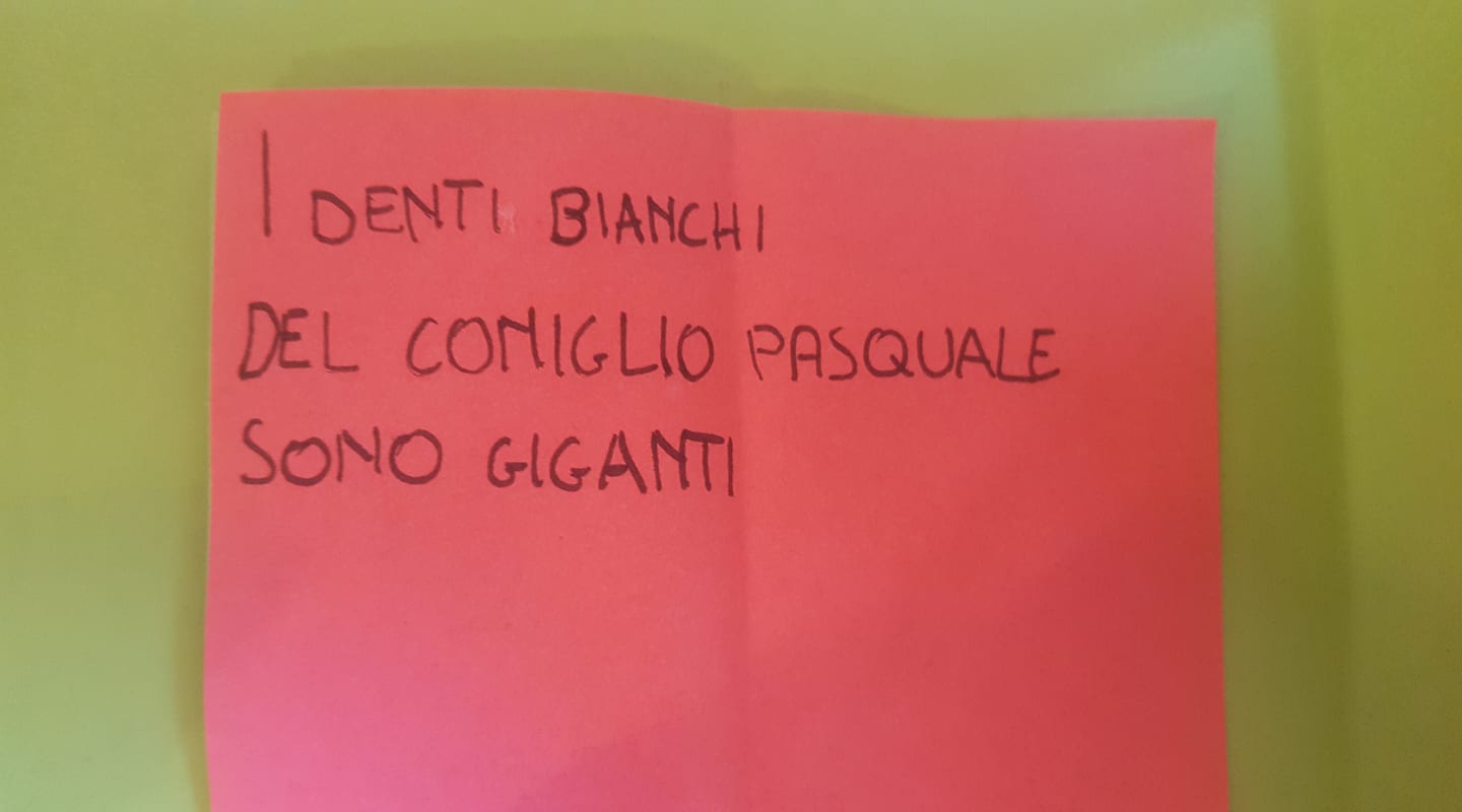 28124749_1729338277118592_219412714_o