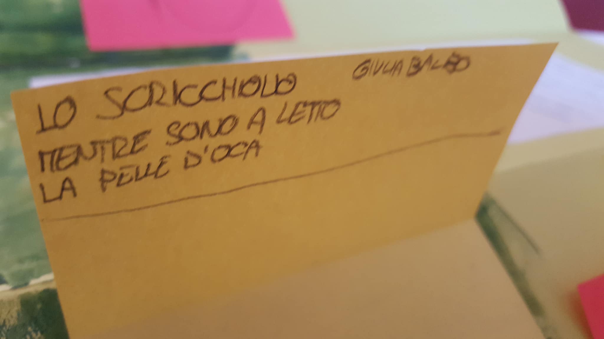 28340160_1737032309682522_374240580_o