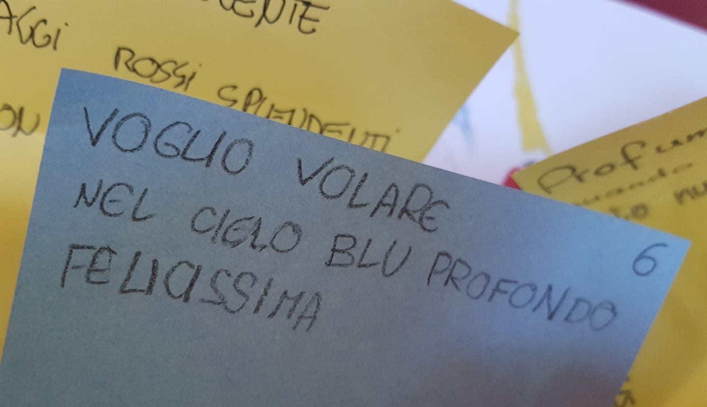 28407372_1737032393015847_709092090_o