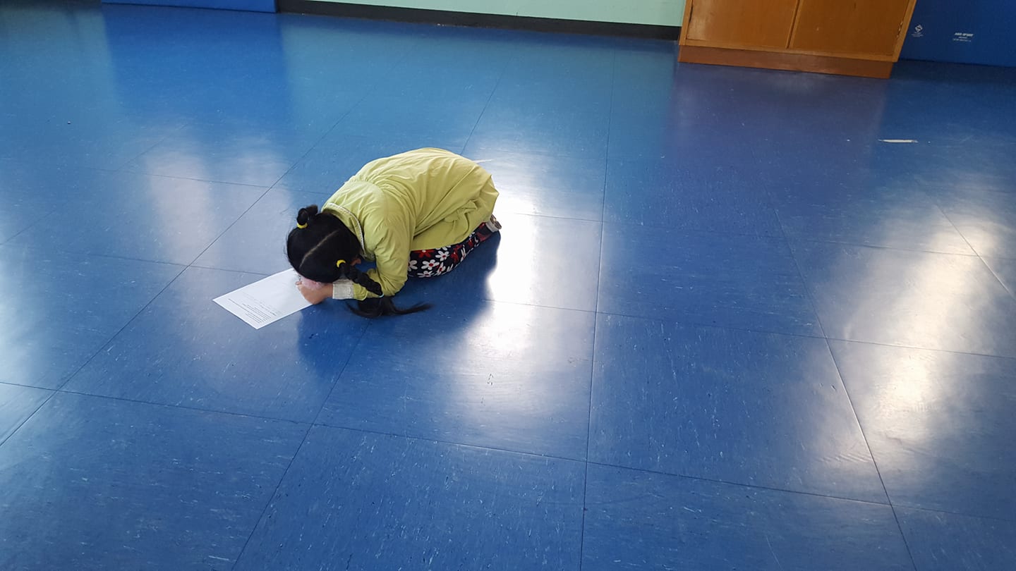 28503925_1742523082466778_1485455536_o