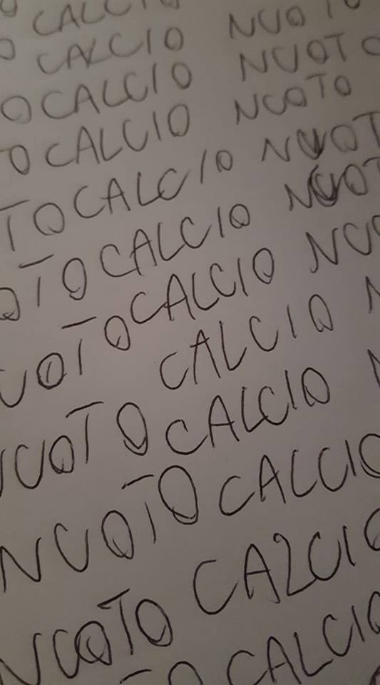 28511222_1742558075796612_1009883075_n