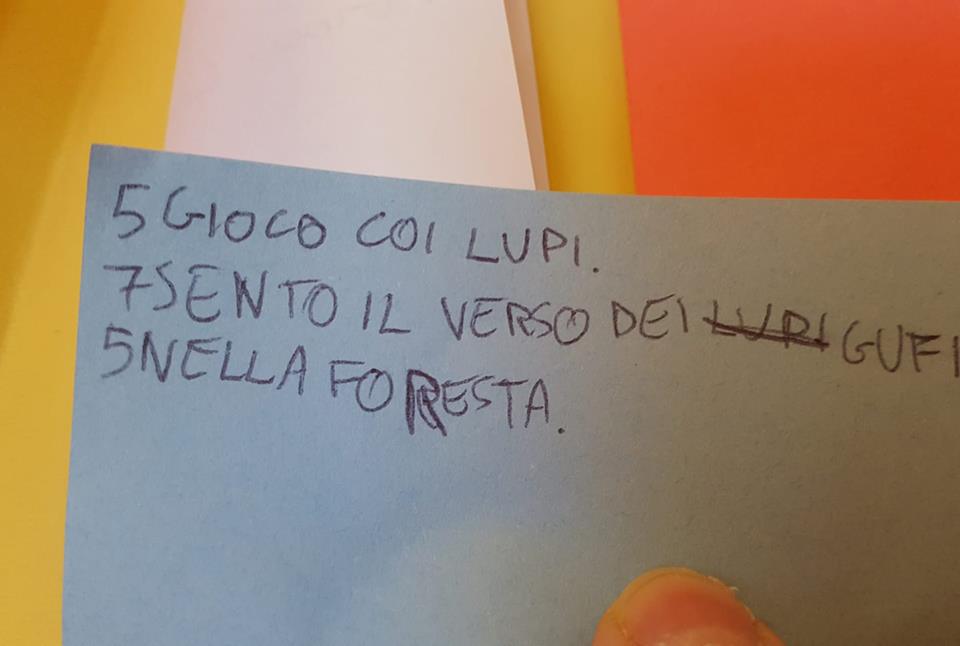 28511594_1744704492248637_467125593_n