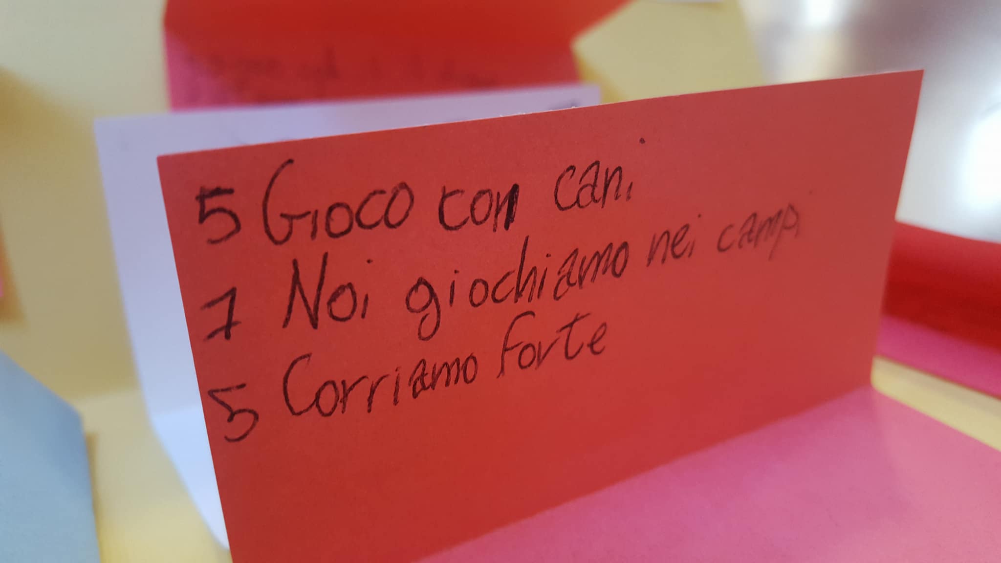 28555077_1744712945581125_611532409_o