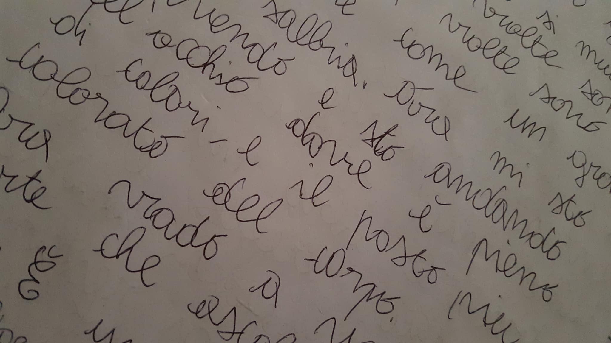 28580499_1742554442463642_693145297_o