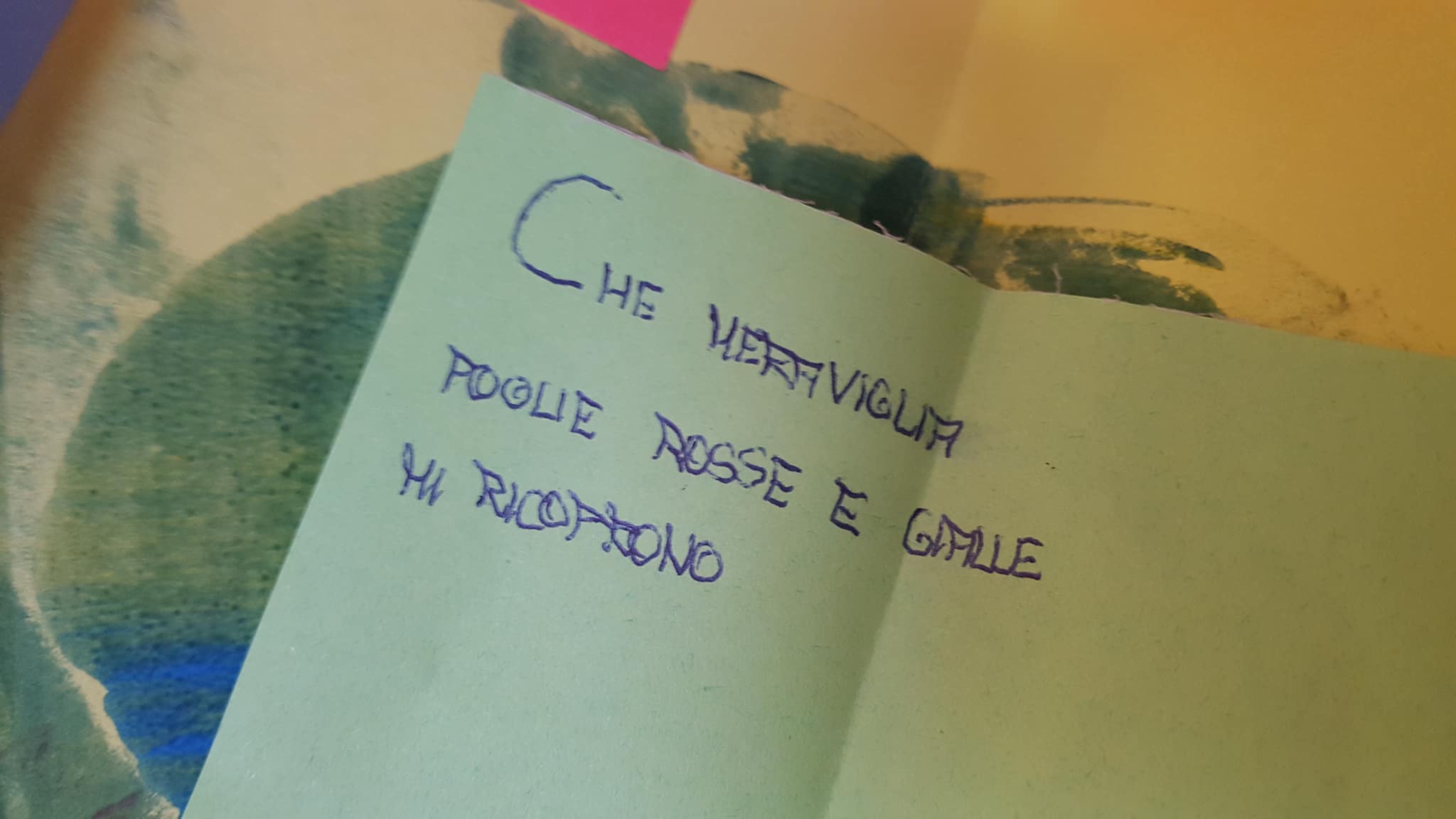 28580813_1744712088914544_401264411_o