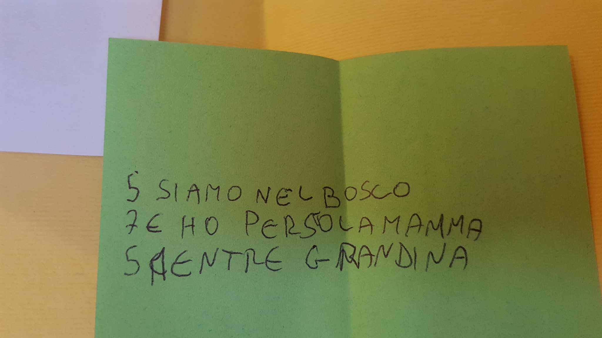 28583837_1744704678915285_364625306_o