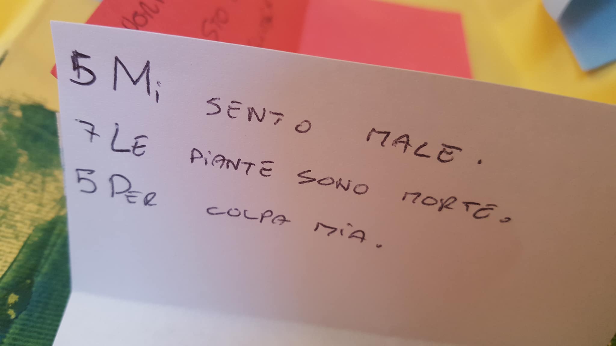 28584019_1744704382248648_1827549218_o