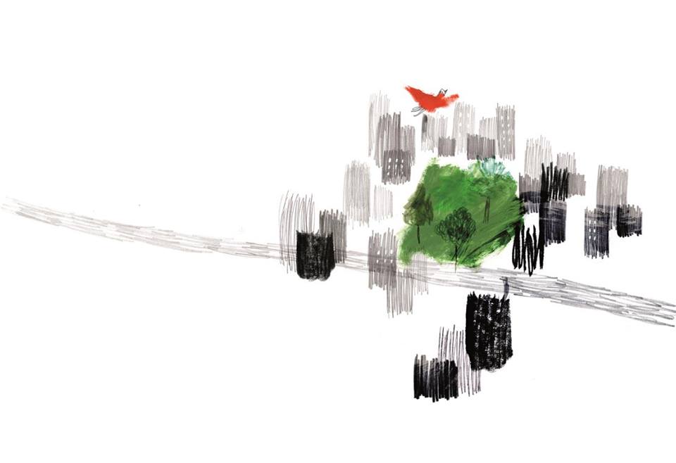 27867982_10155928430040519_3835946113938039779_n