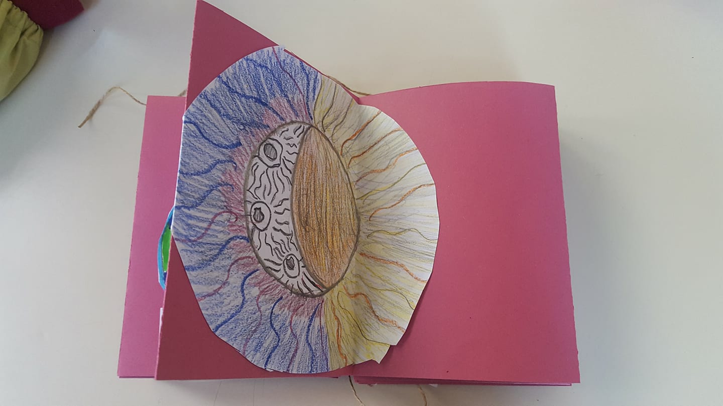 28685976_1753817874670632_4153497824958349312_o