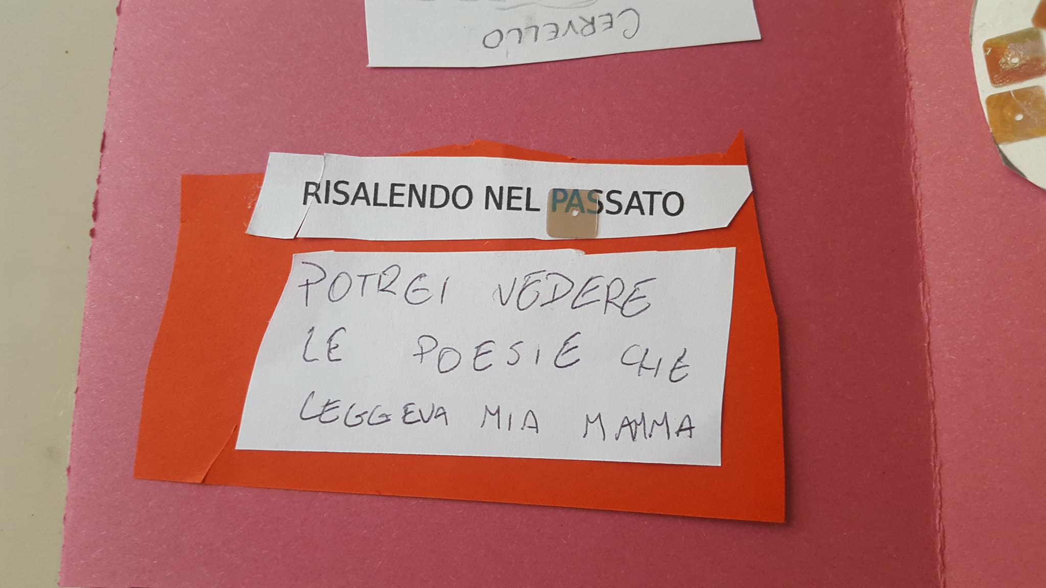 28782975_1753823258003427_173525534980964352_o