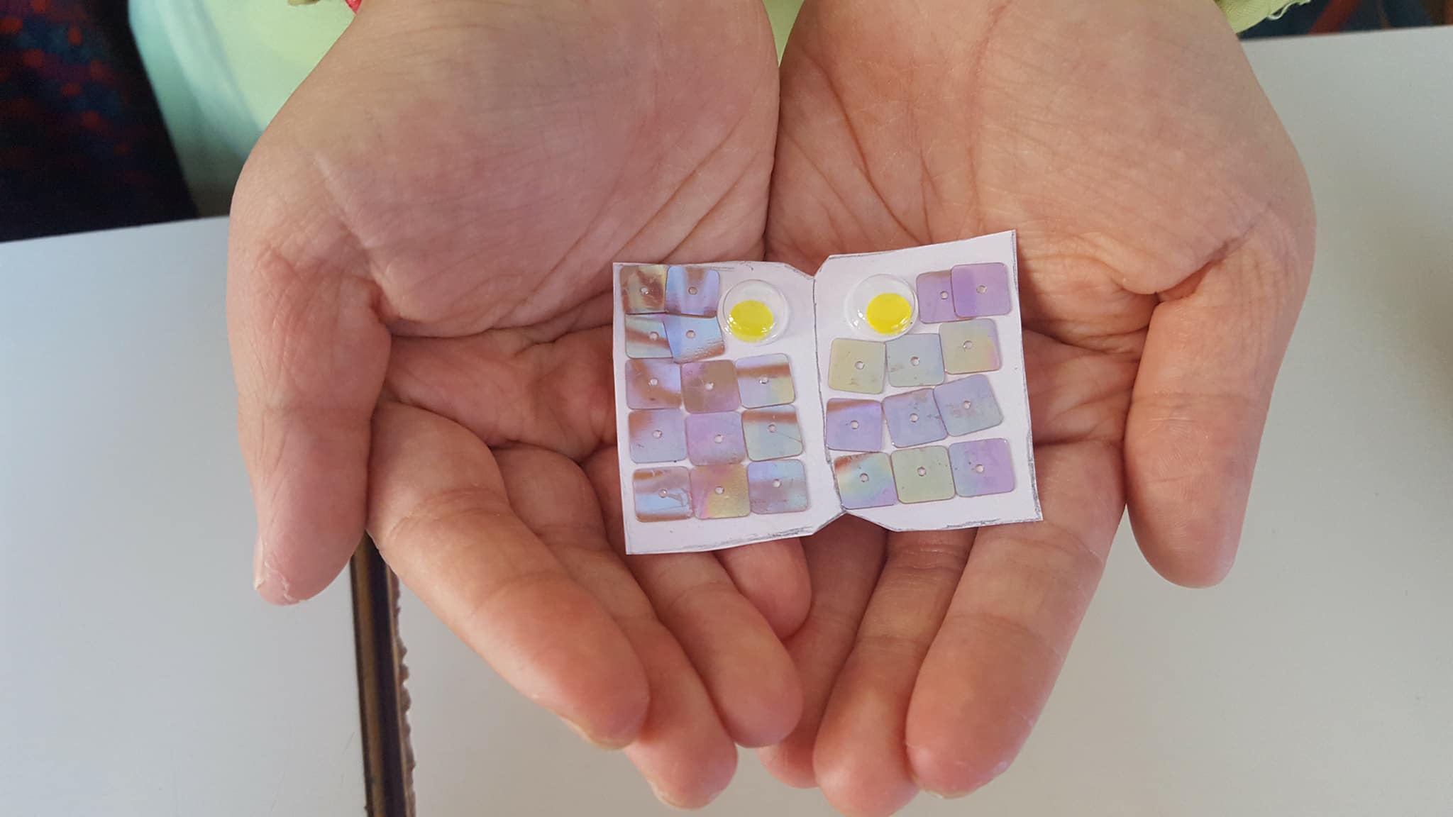 28795215_1753823341336752_1009432432568434688_o