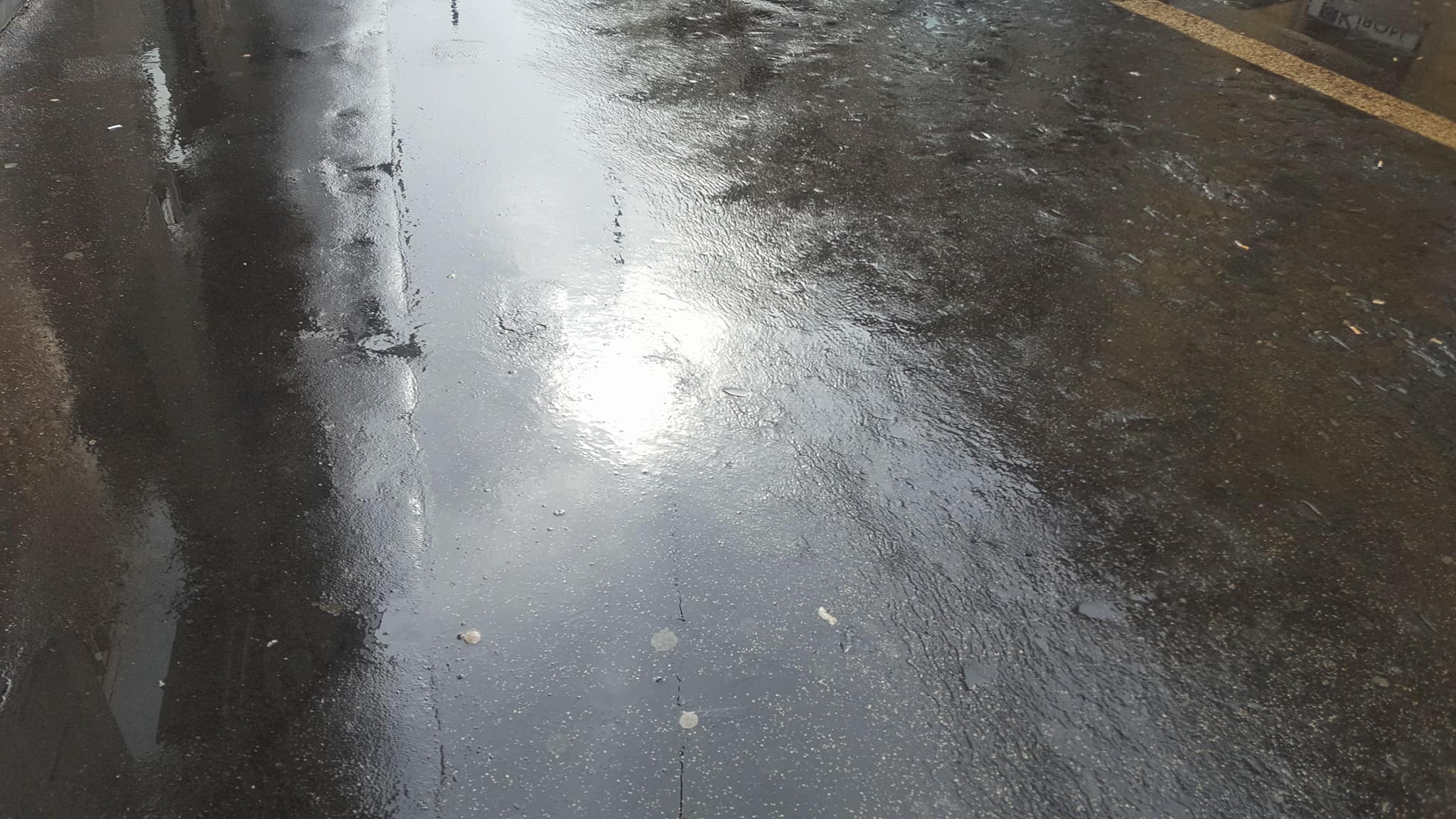 28810532_1752514851467601_504210610_o