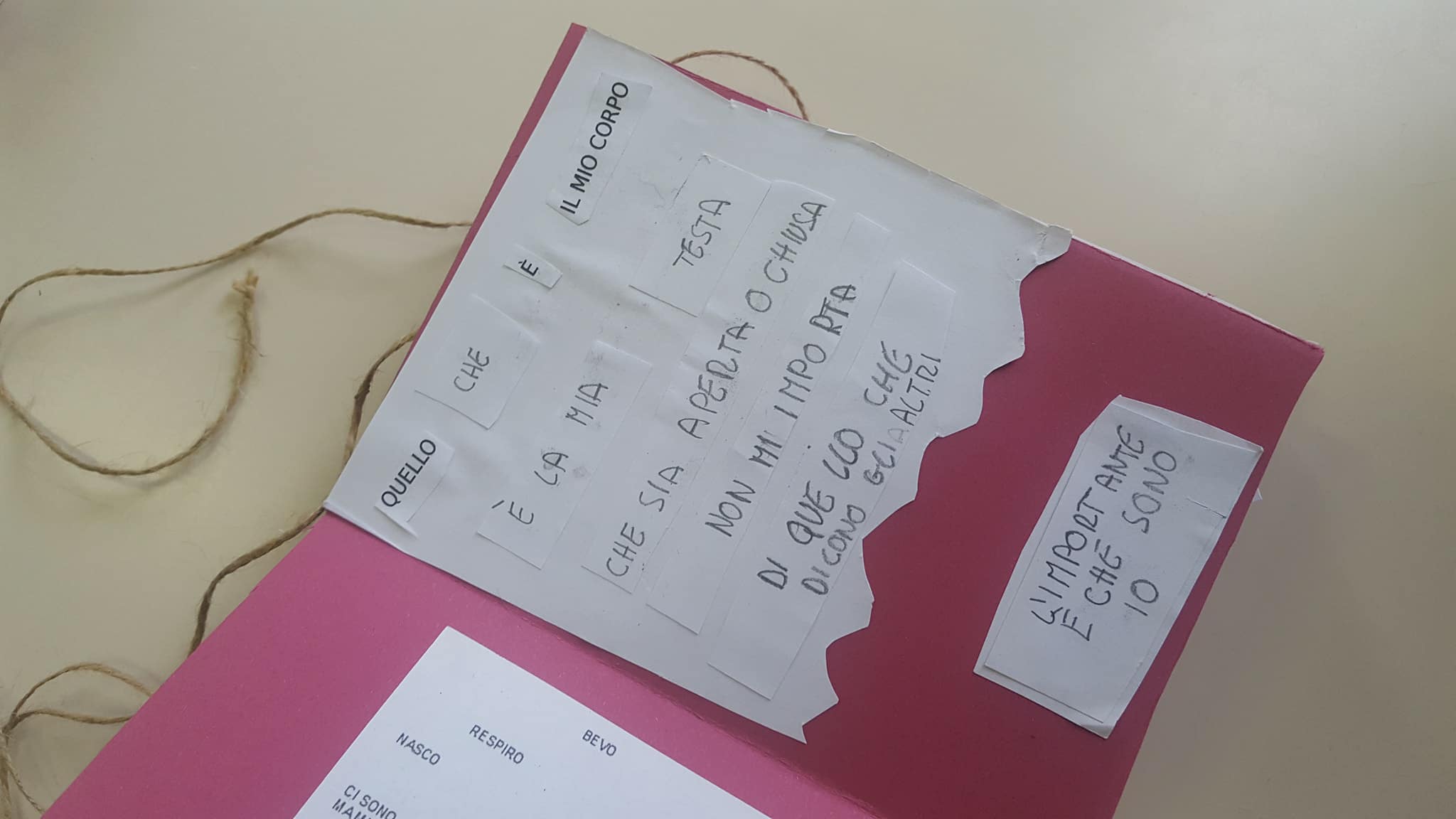 28821890_1752516634800756_1746772848_o