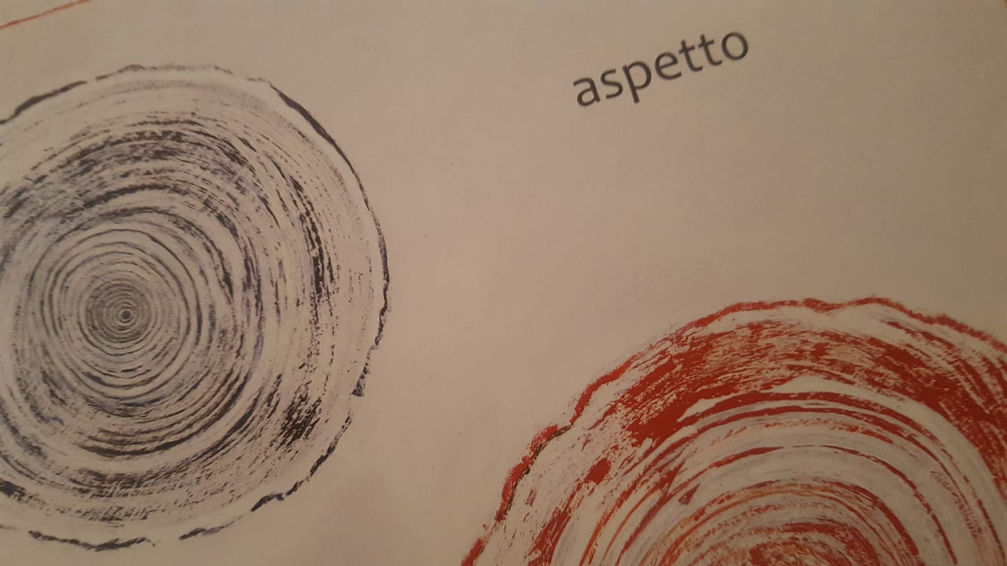 28879845_1752543111464775_368897586_o