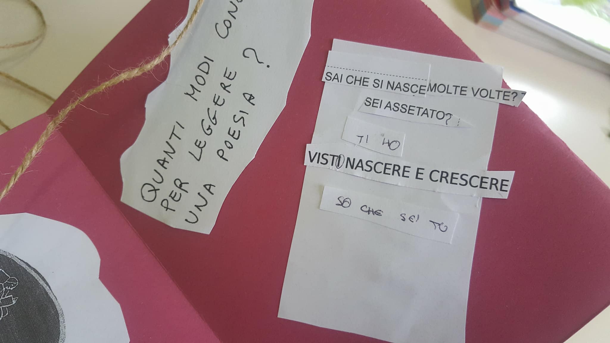 28938560_1752515611467525_452261719_o