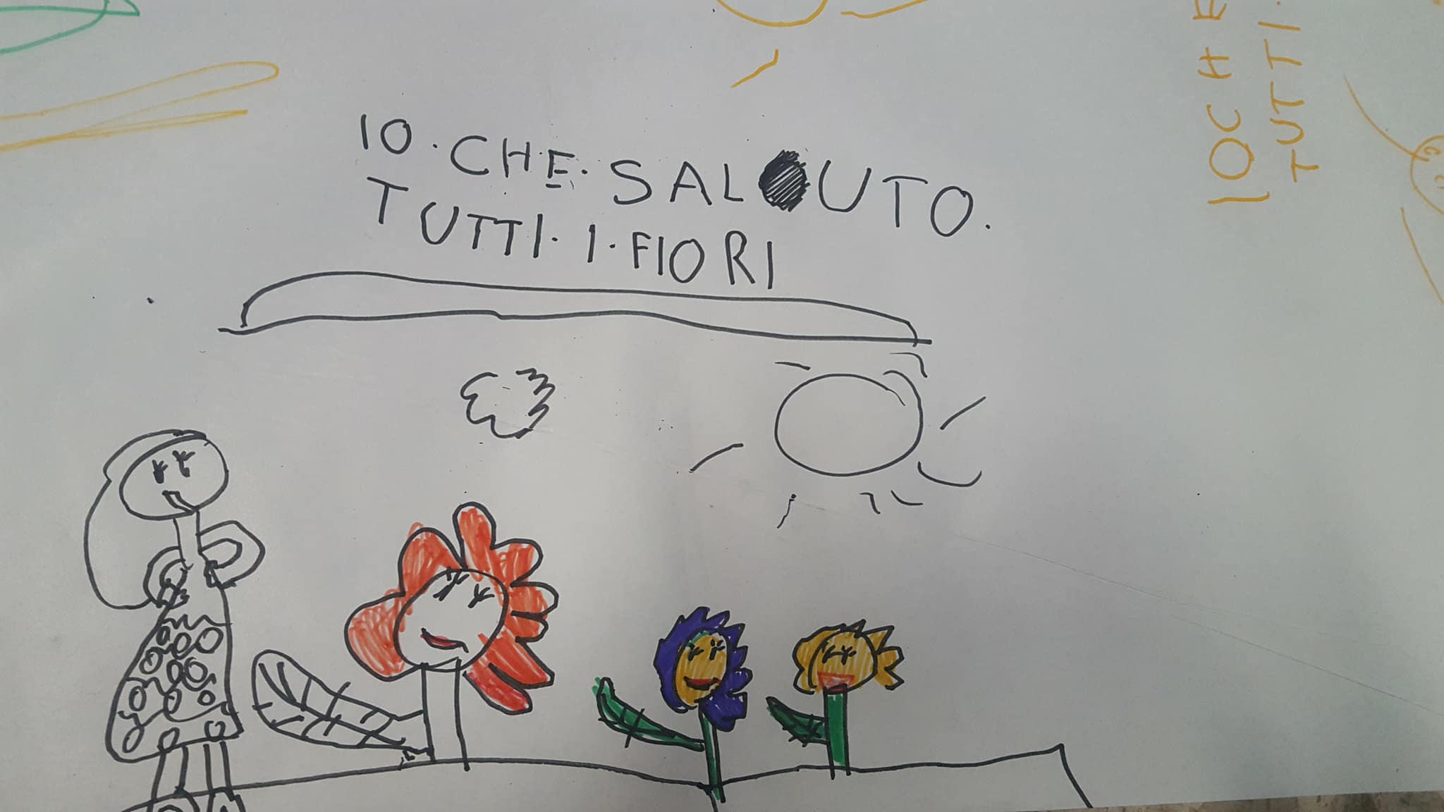 29066714_1759030827482670_2246908962626600960_o