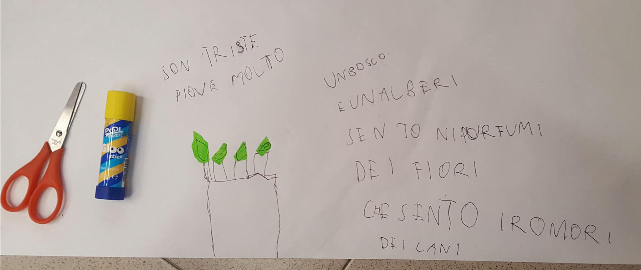 29103380_1759040810815005_3398522121410838528_o