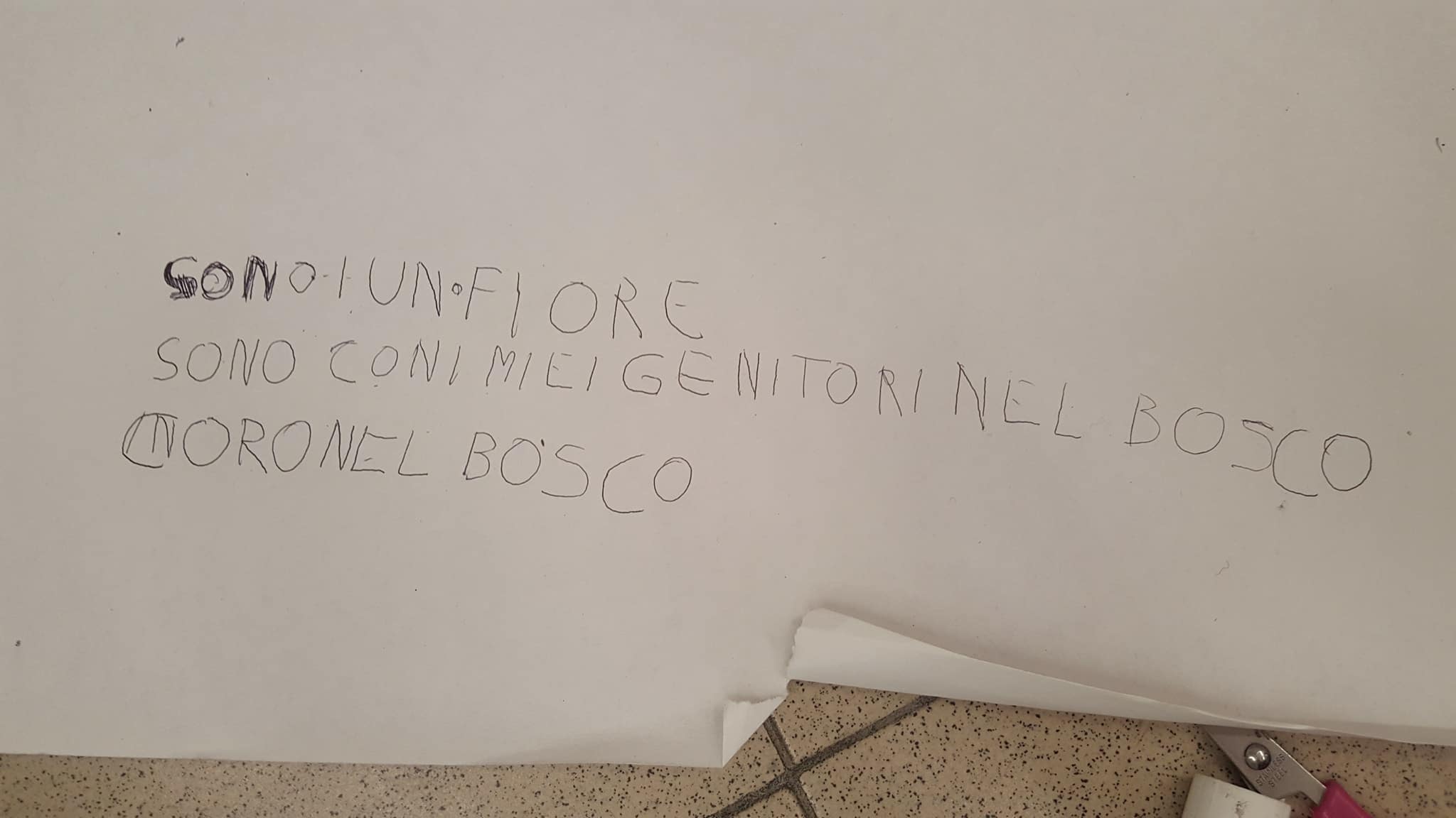 29103820_1759041887481564_5667955816683012096_o