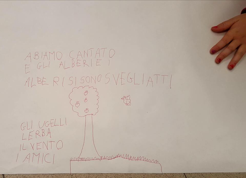 29104324_1759044024148017_3977507232152551424_n