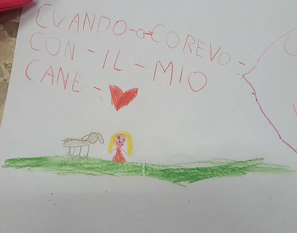 29133740_1759033284149091_3350069109285978112_n