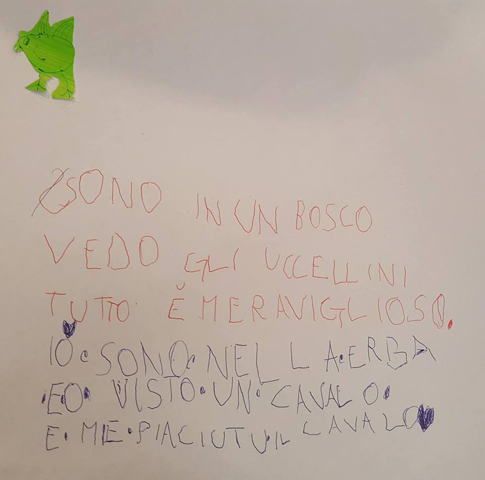 29176853_1759040430815043_1833749721684901888_n