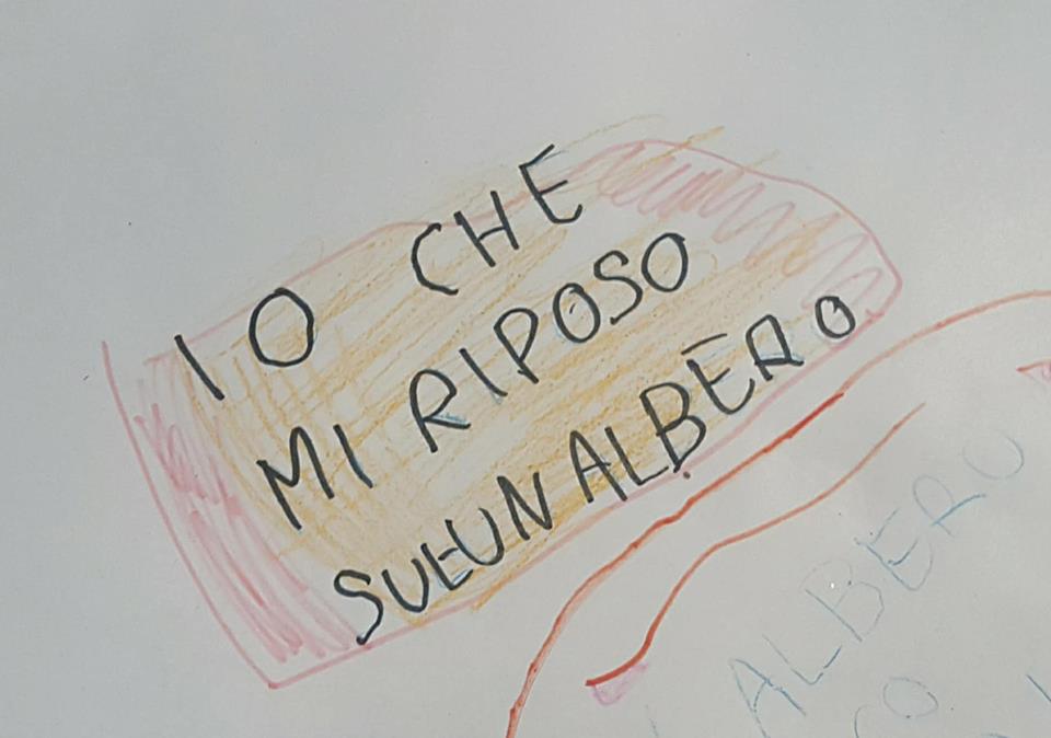 29177333_1759033014149118_8502496097304838144_n