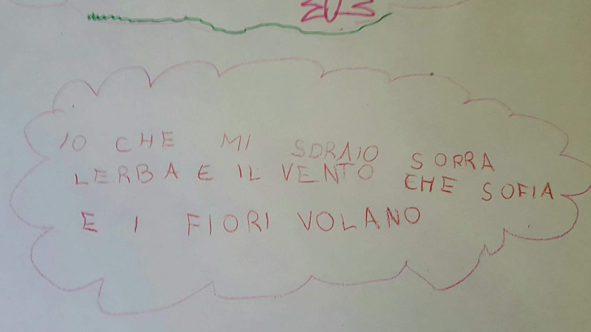 29177611_1759030907482662_5296903253995290624_o