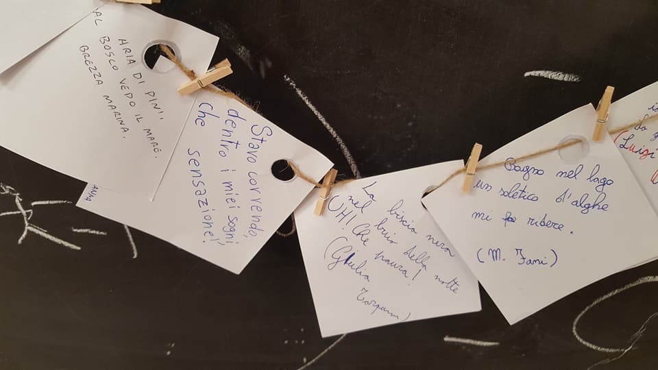 29468123_1770038186381934_6603932265401548800_n