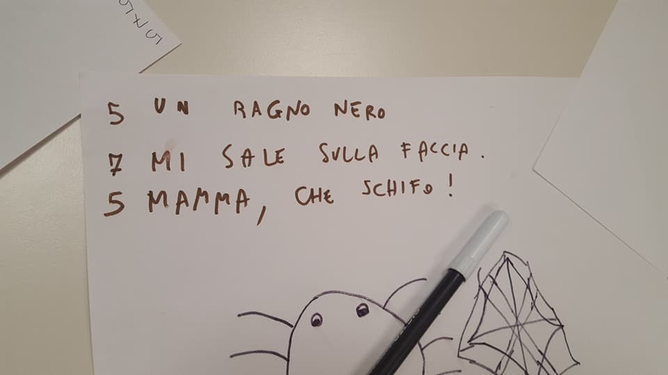 29497381_1770038333048586_7859634063978528768_n