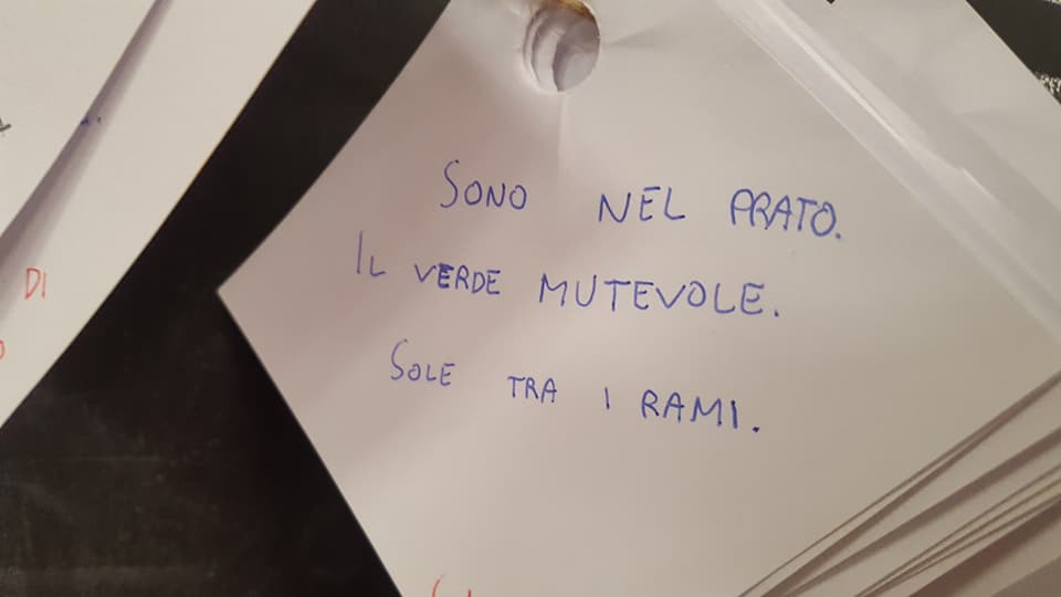29511215_1770036469715439_1708078484682702848_n