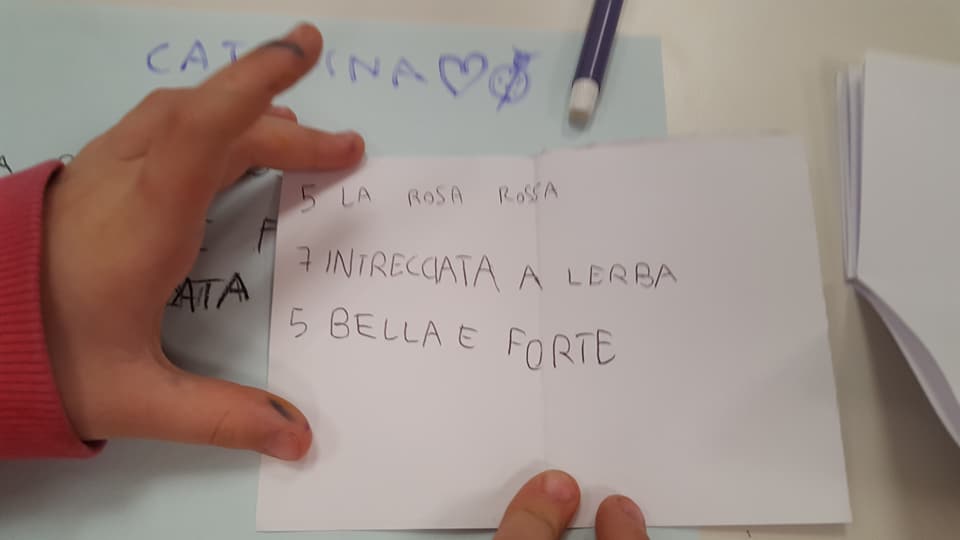 29512780_1770038289715257_5428365382517784576_n