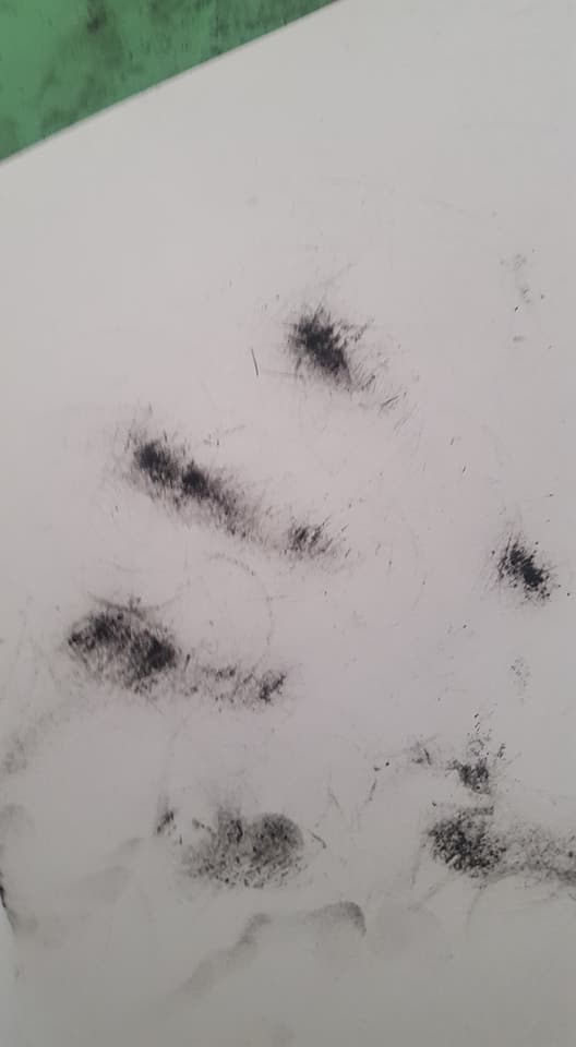 30704037_1801784883207264_140661171081445376_n