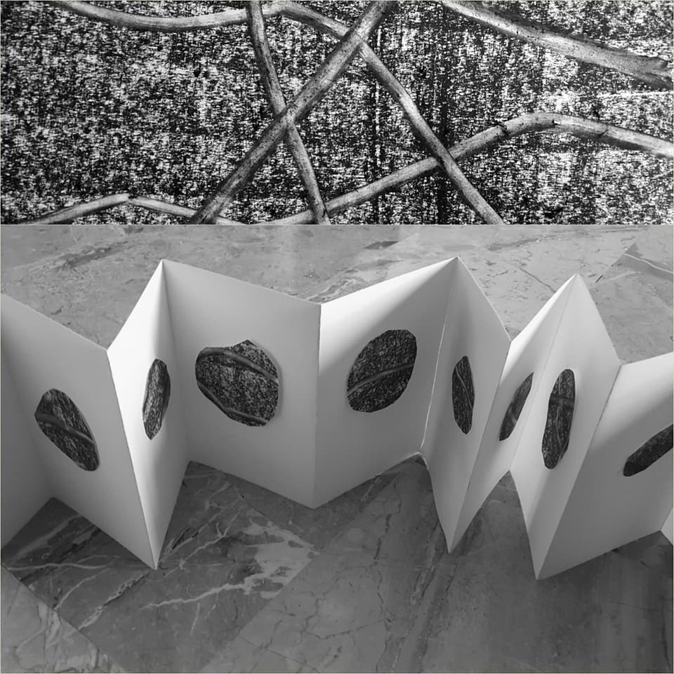 30705779_1801784359873983_5451292450519777280_n