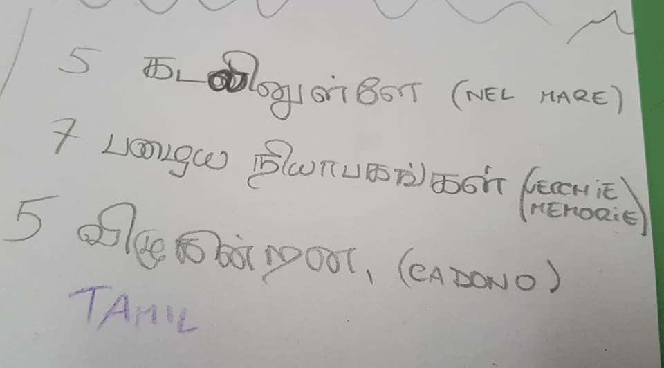 30710064_1801785236540562_8674163668088258560_n