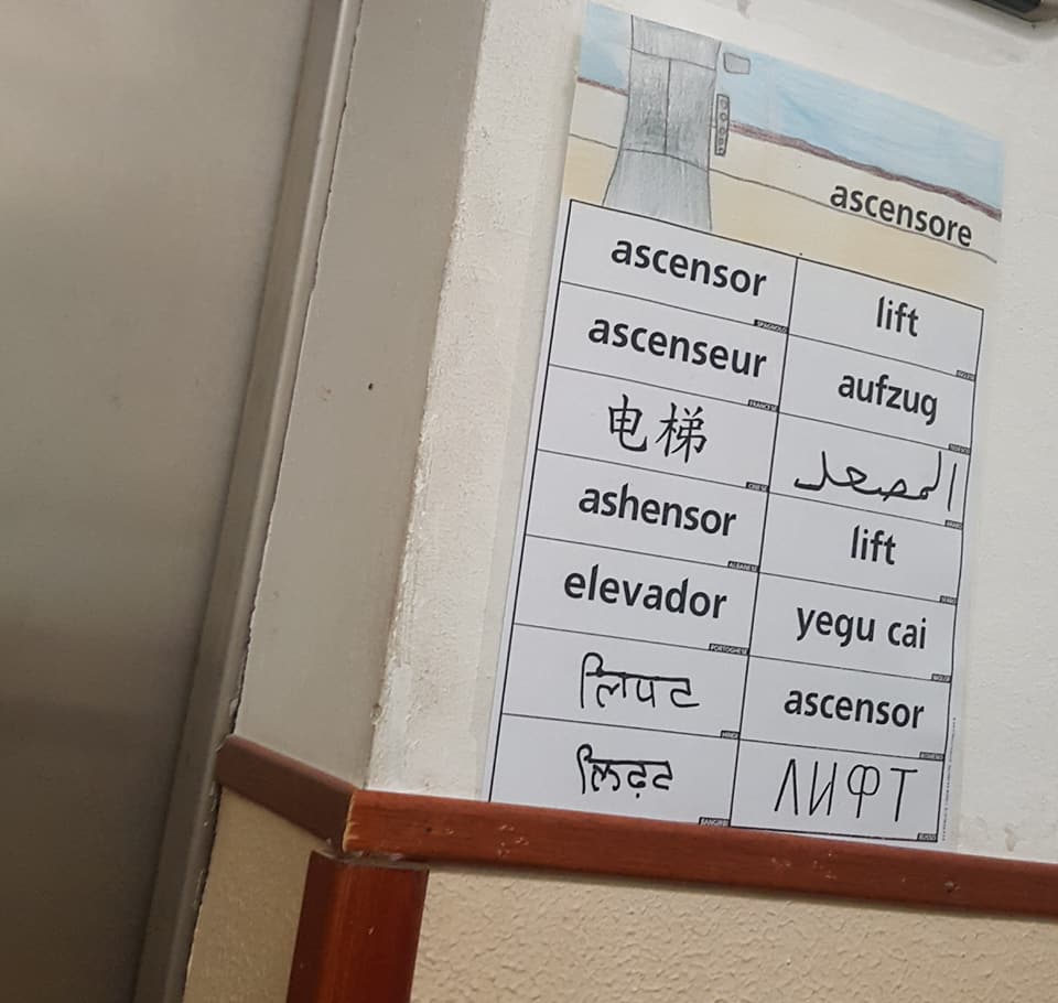 30714374_1801784513207301_5689222506162946048_n