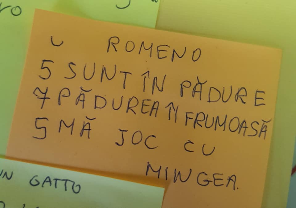 45683740_2134423369943412_9009627874063286272_n