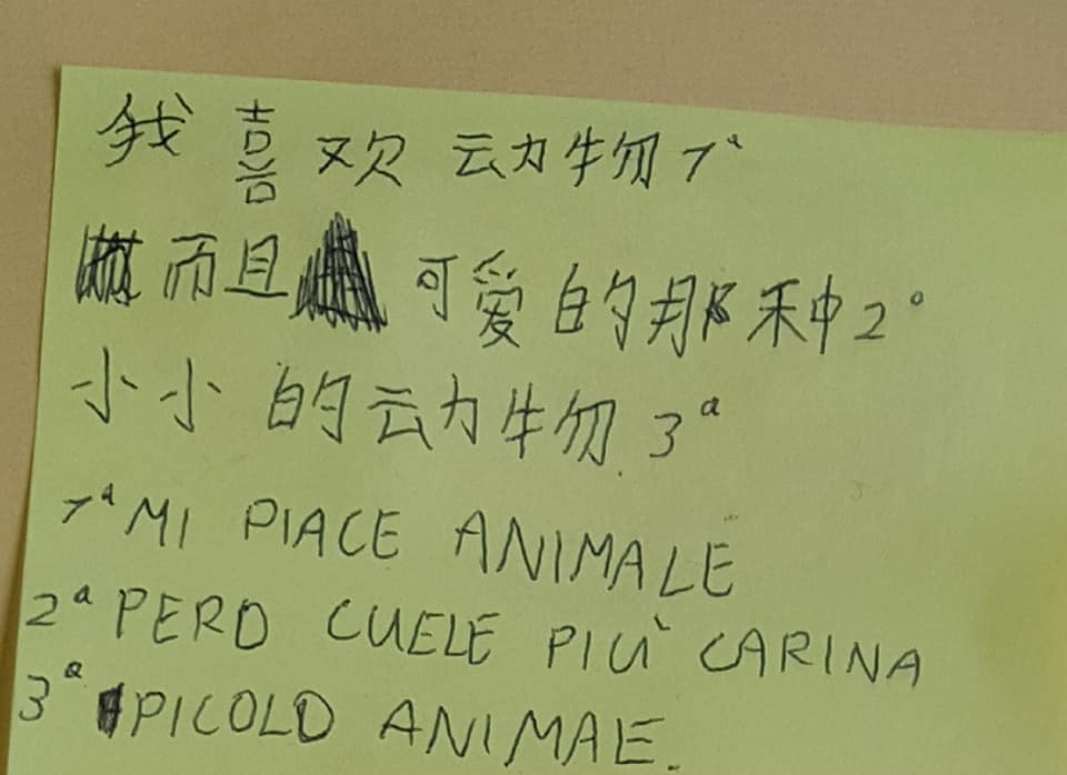 45776590_2134422003276882_3112960174080393216_n