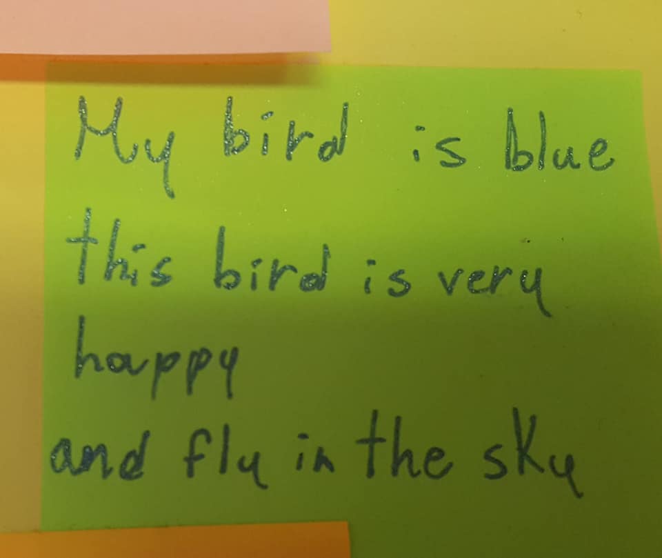 45864418_2134422653276817_2043019533576306688_n